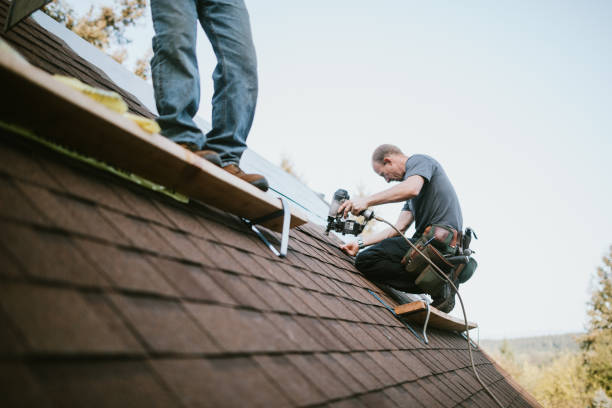 Best Roof Leak Repair  in Reinholds, PA